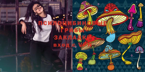 каннабис Верея