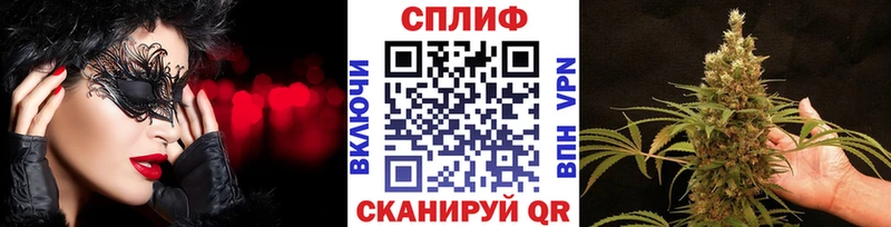 Купить где Спасск Бошки марихуана THC 21%